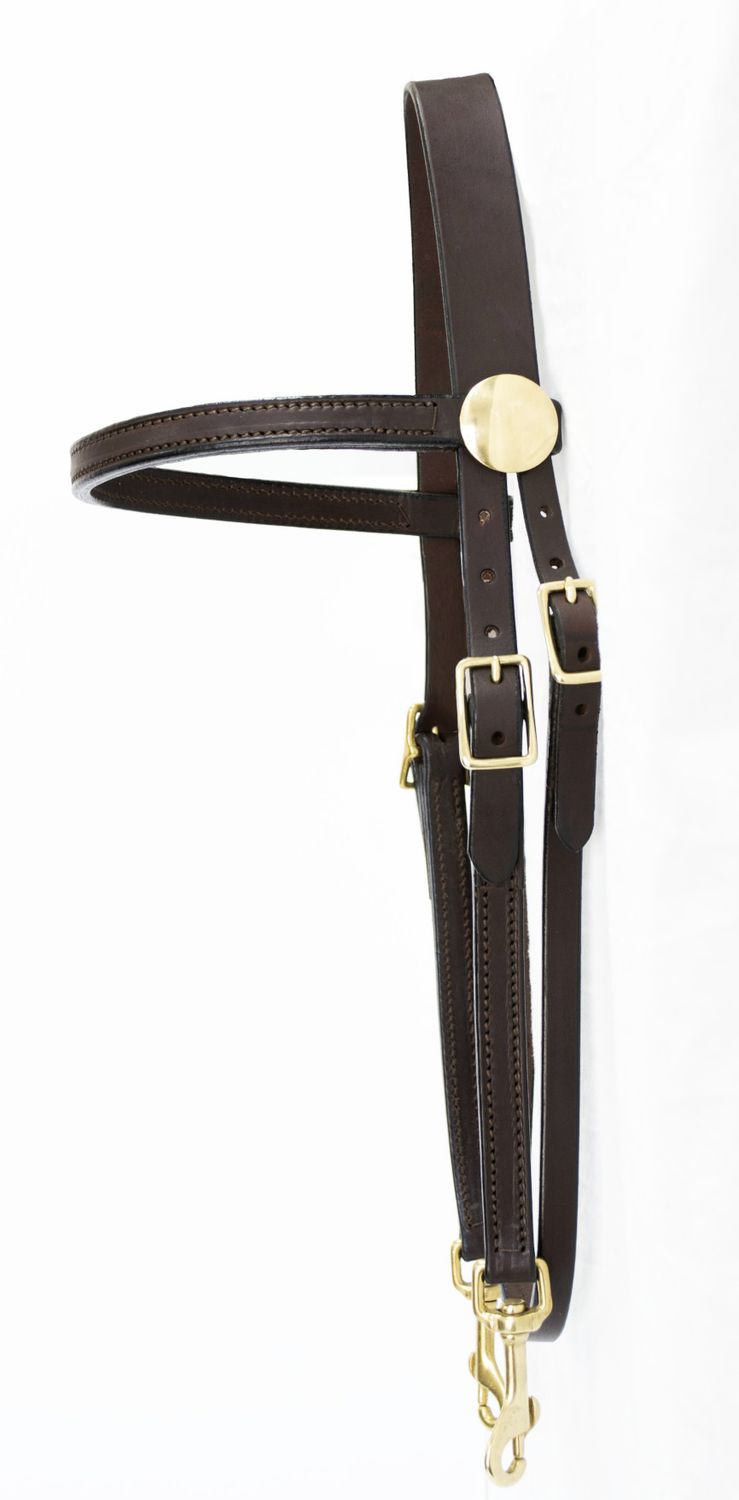Blue Ribbon Training Bridle