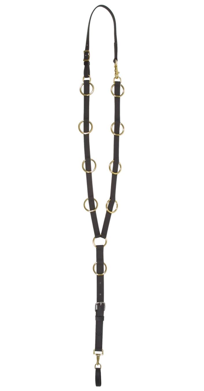 Blue Ribbon 10-Ring Running Martingale