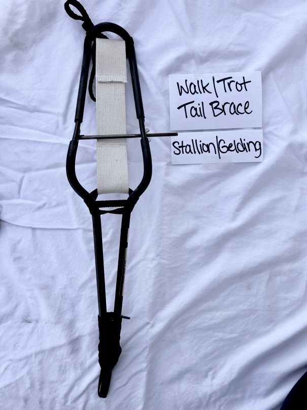 Walk Trot Tail Brace (#24/#26)