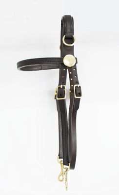 Blue Ribbon Side Check Training Bridle