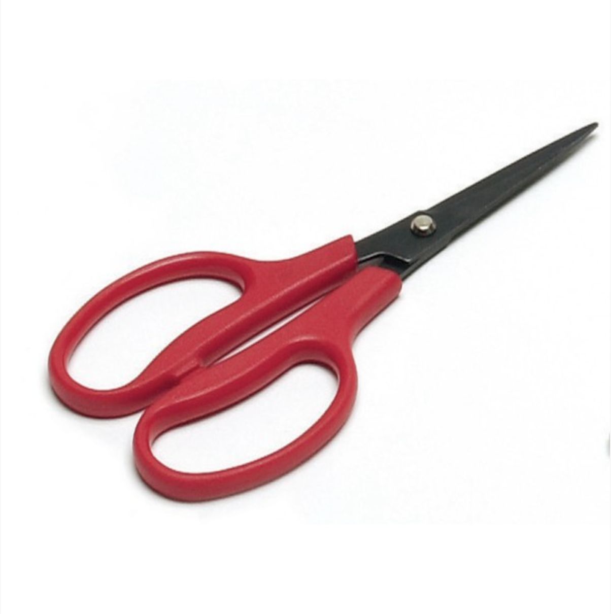 Leather Scissors