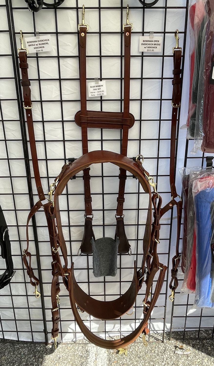 Blue Ribbon Tail Set (Horse)