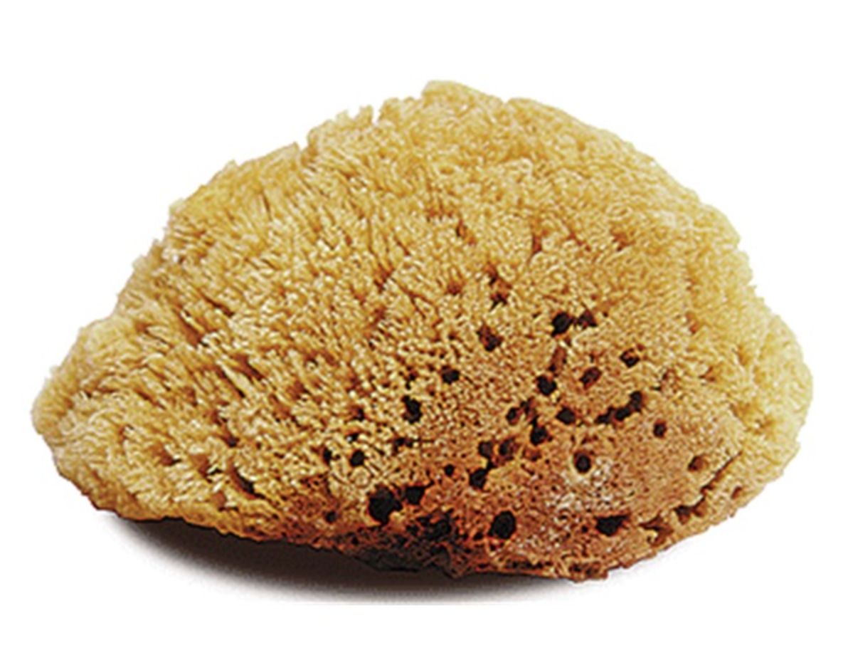 Natural Body Sponge