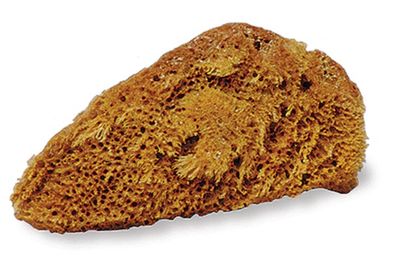 Natural Tack Sponge