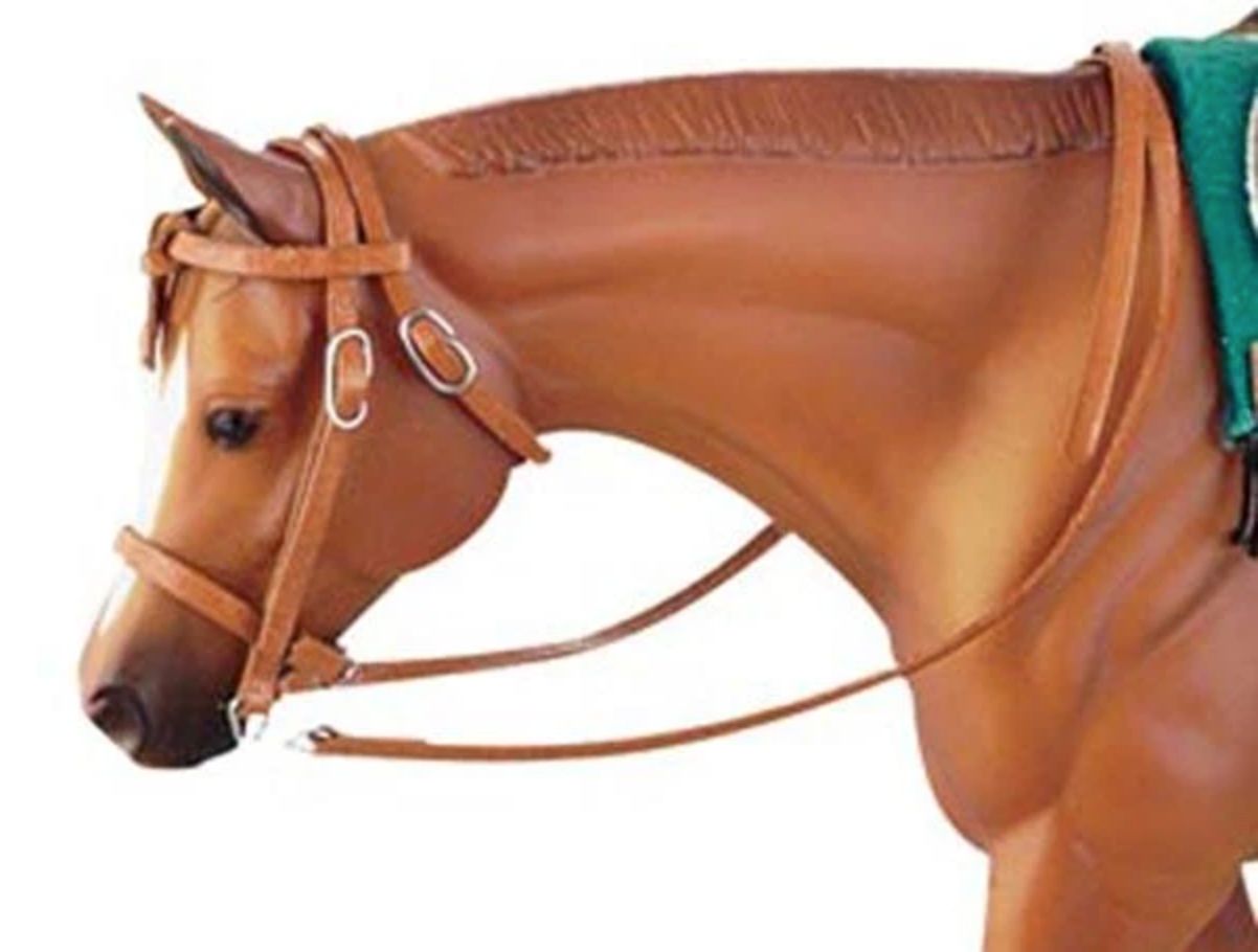 Western Show Bridle