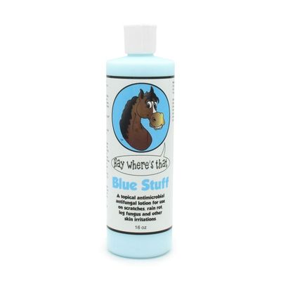 Blue Stuff 16 oz