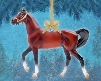 Beautiful Breeds: Arabian Ornament