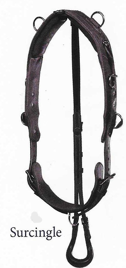 Bowman Training Surcingle (w/ Turnback and Crupper)