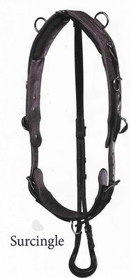 Bowman Training Surcingle (w/ Turnback and Crupper)