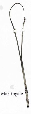 Bowman Training Martingale