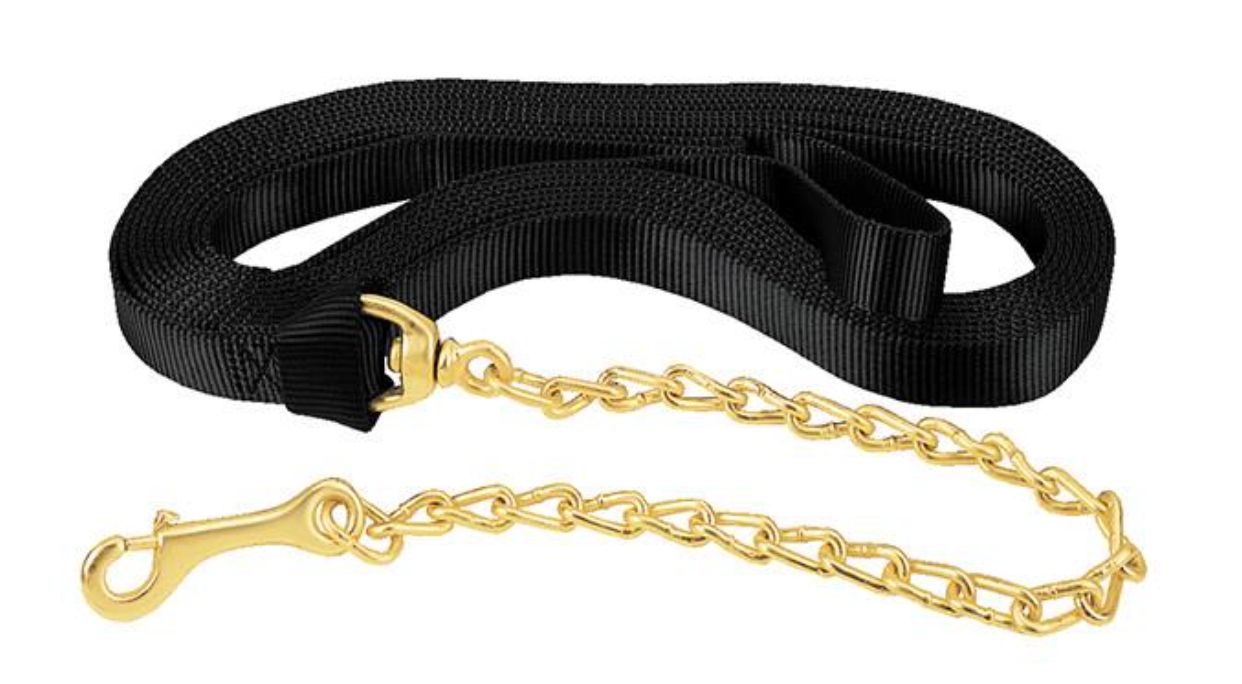 Weaver Flat Nylon Lunge Line with Snap 1" x 24'