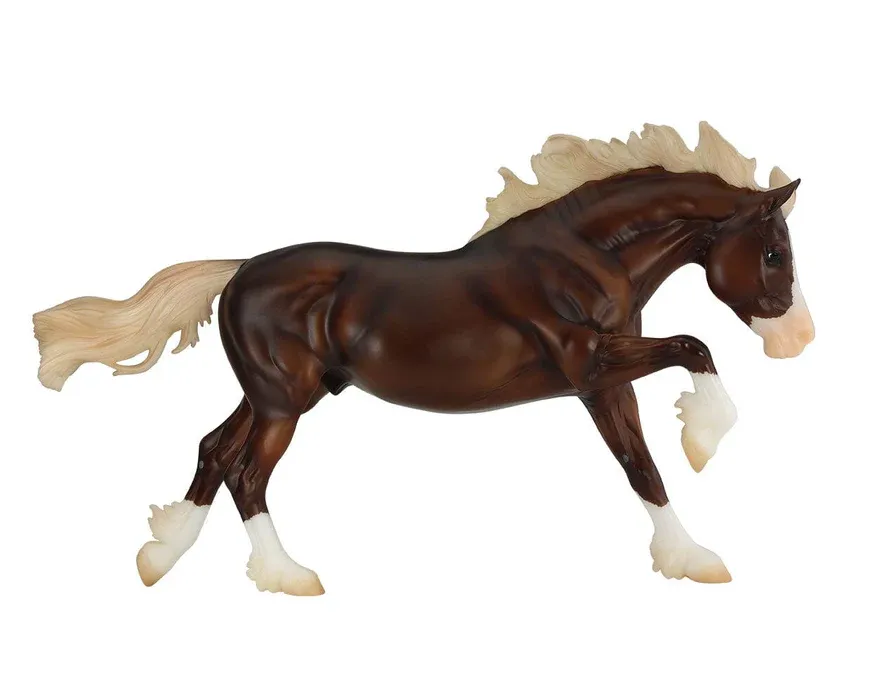 Surfer's Riptide - Chincoteague Stallion