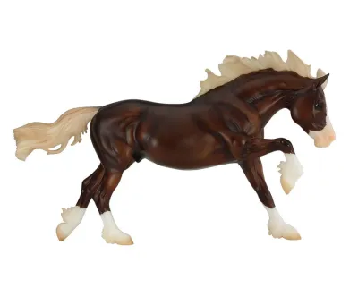 Surfer's Riptide - Chincoteague Stallion