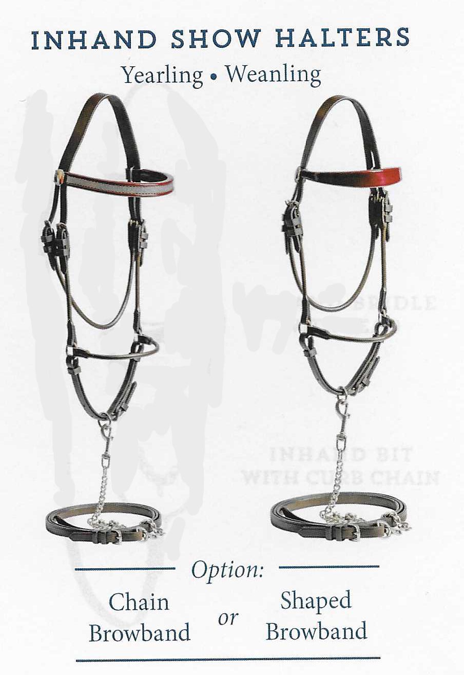 Bowman In Hand Show Halter w/ Chain Lead- Yearling