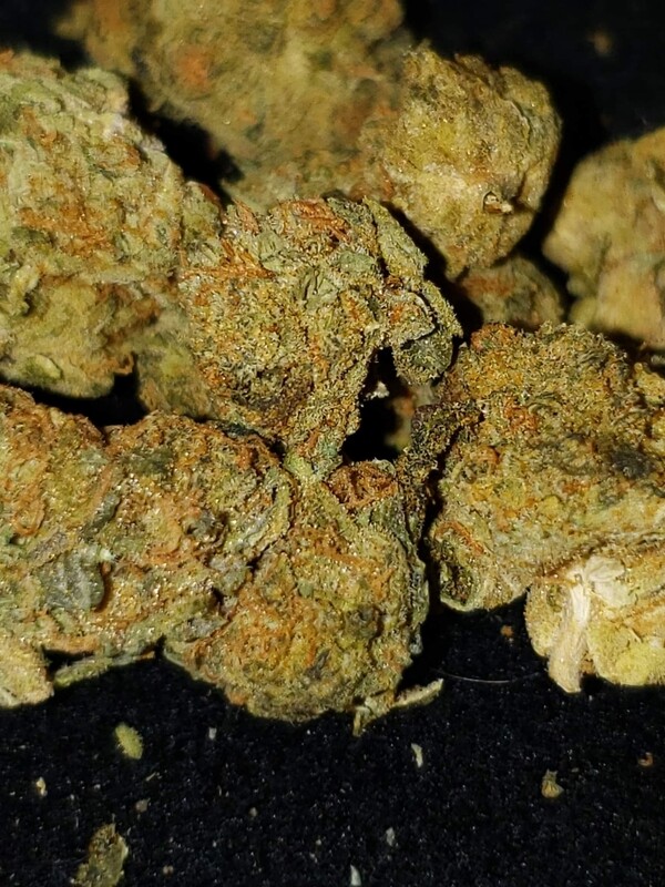 OG Skywalker Cookies Feminized Autoflower Seeds