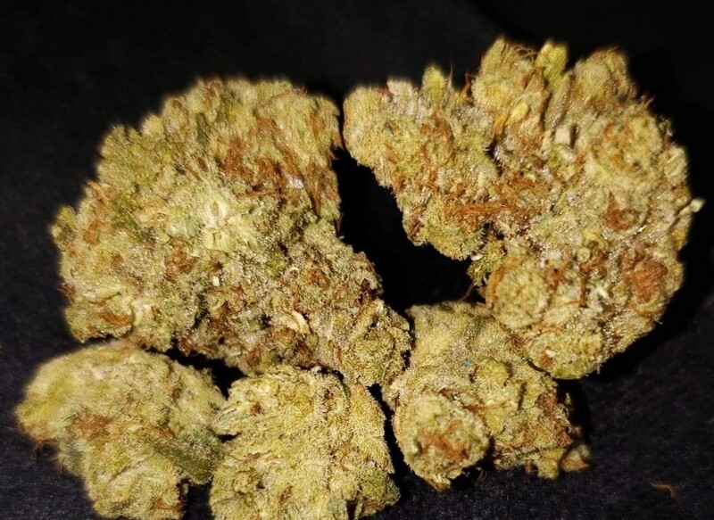 Gelato Cookies Feminized Autoflower seeds