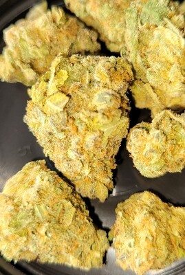 Girl Scout cookies Feminized Autoflower Seeds