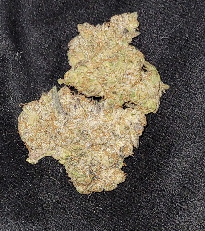 Northern lights Aurora Borealis Feminized Autoflower Seeds