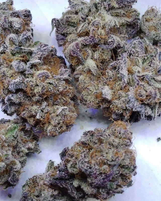 Apple fritter feminized autoflower seeds