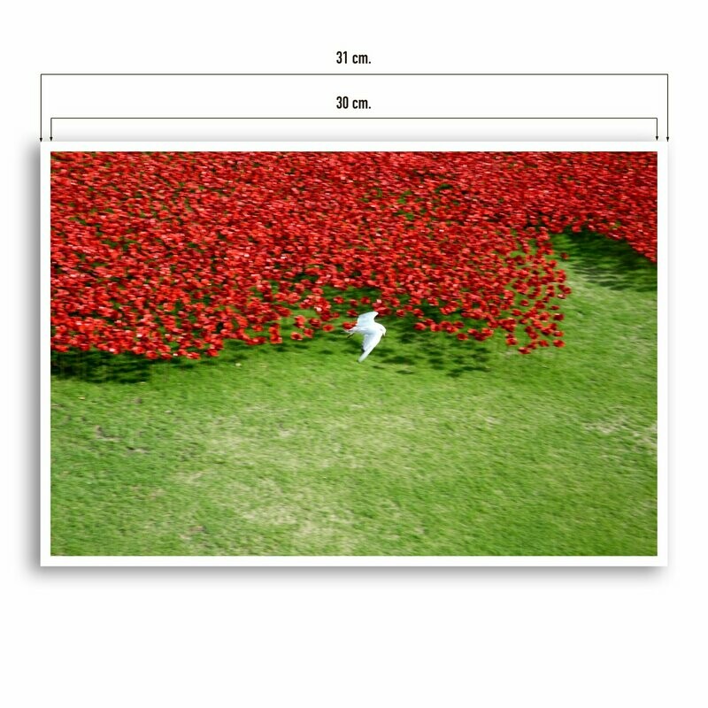 stampa fine art formato 20x30 nel formato 21x31
