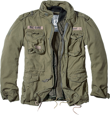 Мужская зимняя куртка с отстегивающимся подкладом M65 Giant Brandit, Olive