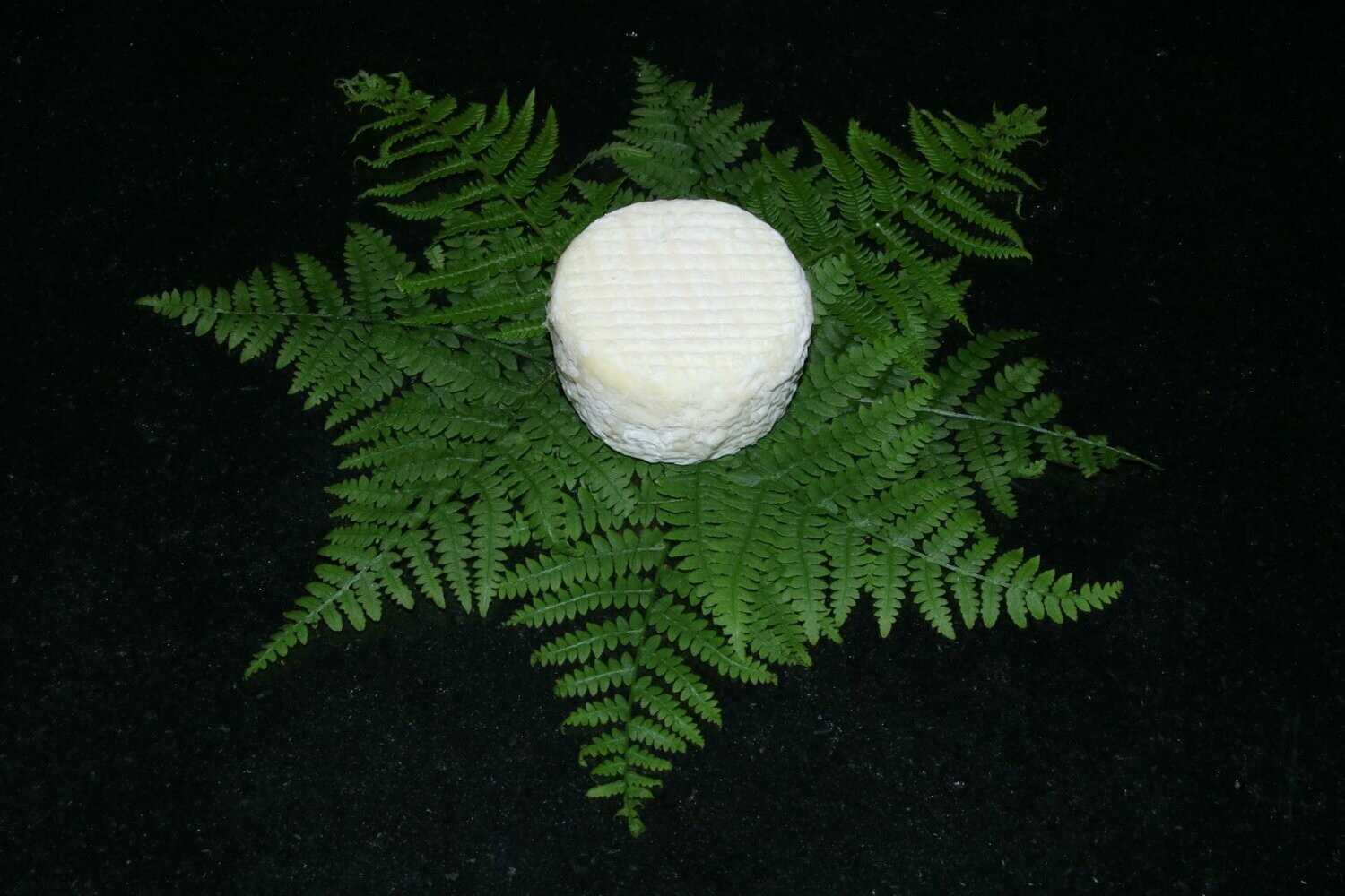 Crottin de Brebis