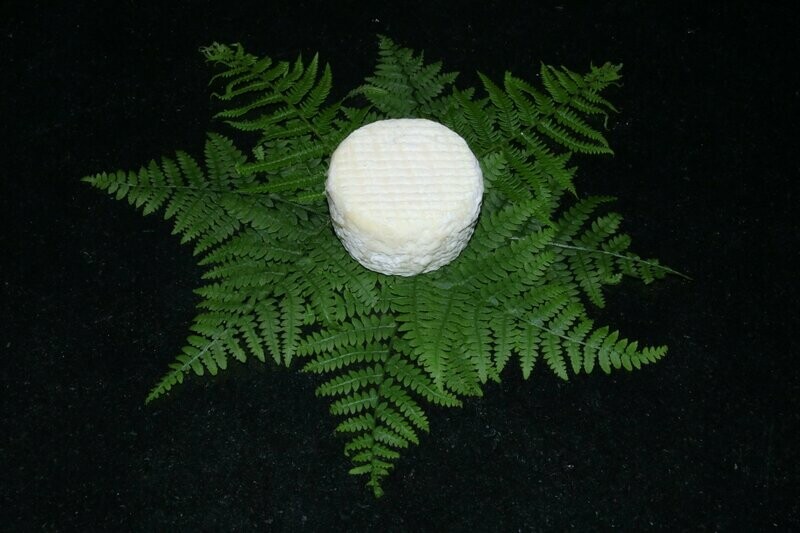 Crottin de Brebis