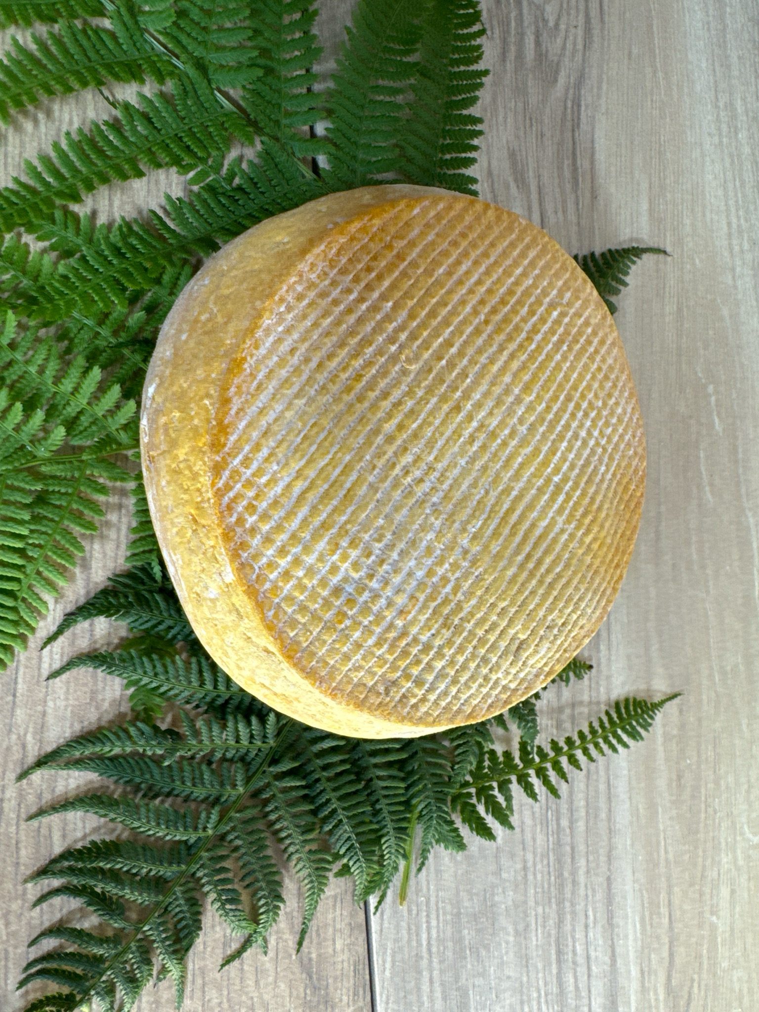 Le Petit Fiancé des Pyrénées