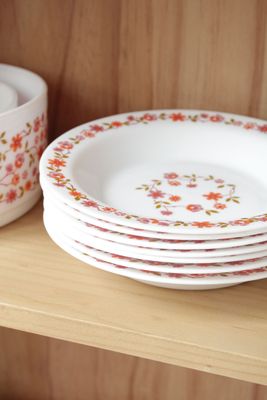 Assiettes creuses Scania