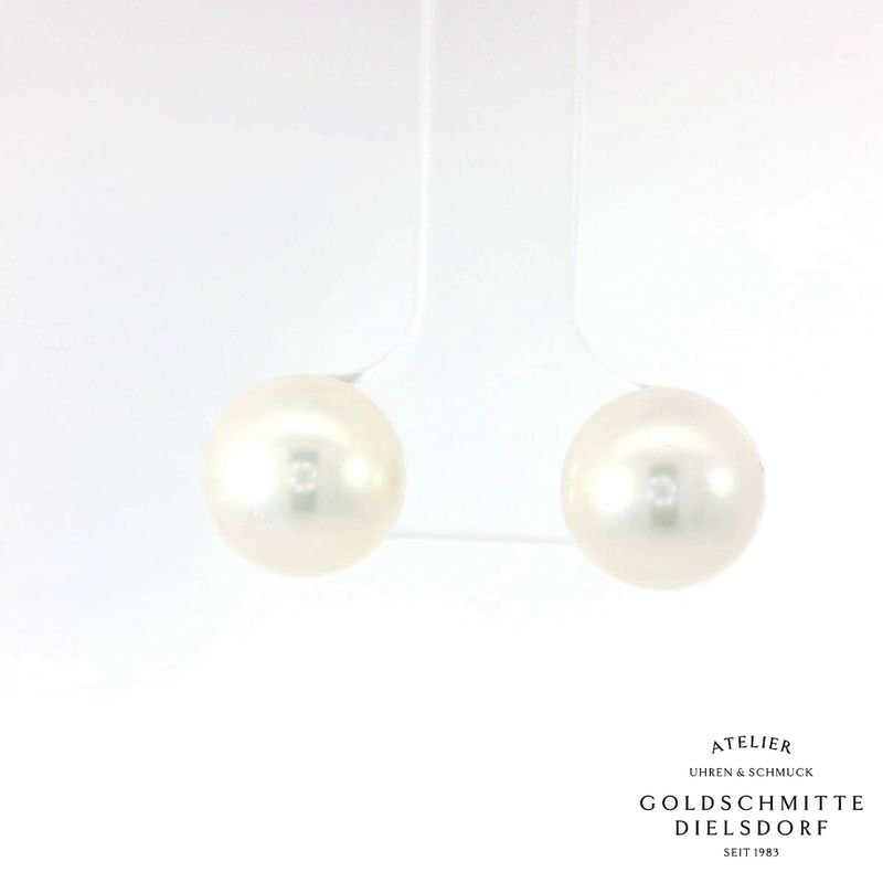 Perlohrstecker Akoya - Perlen Weissgold 750