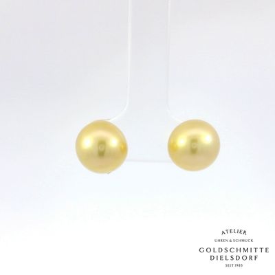 Ohrstecker mit Südsee Perlen in Gelbgold 750 Ohrstecker mit Südsee Perlen in Gelbgold 750