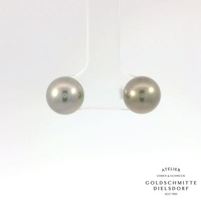 Ohrstecker mit Tahiti Perlen in Weissgold 750