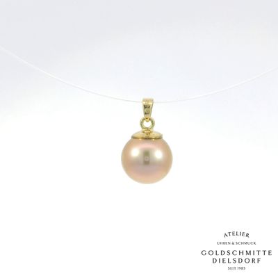 Anhänger mit Ming Süsswasser Perle in Gelbgold 750