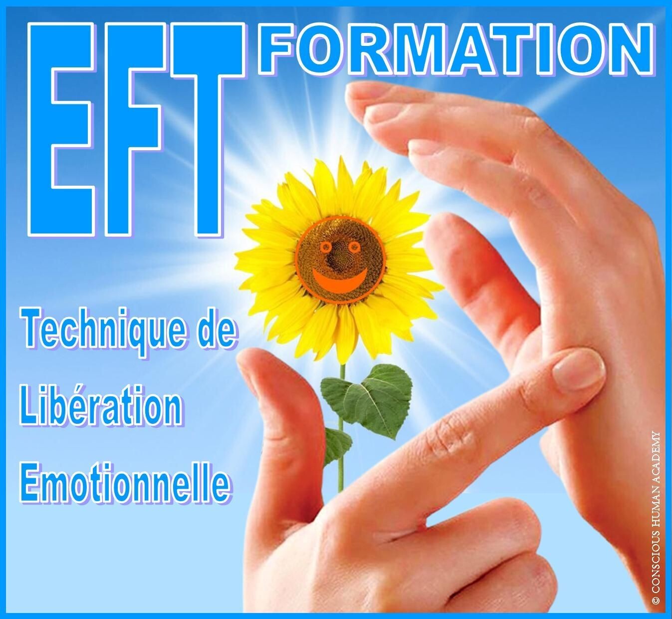 Formation EFT PRO