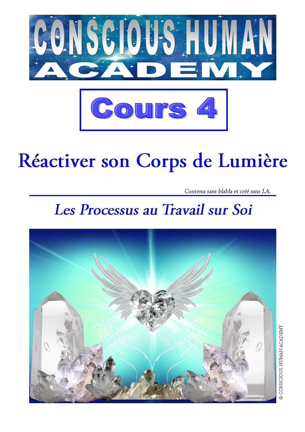 Cours 4 : Réactiver son Corps de Lumière - Les Processus au Travail sur Soi