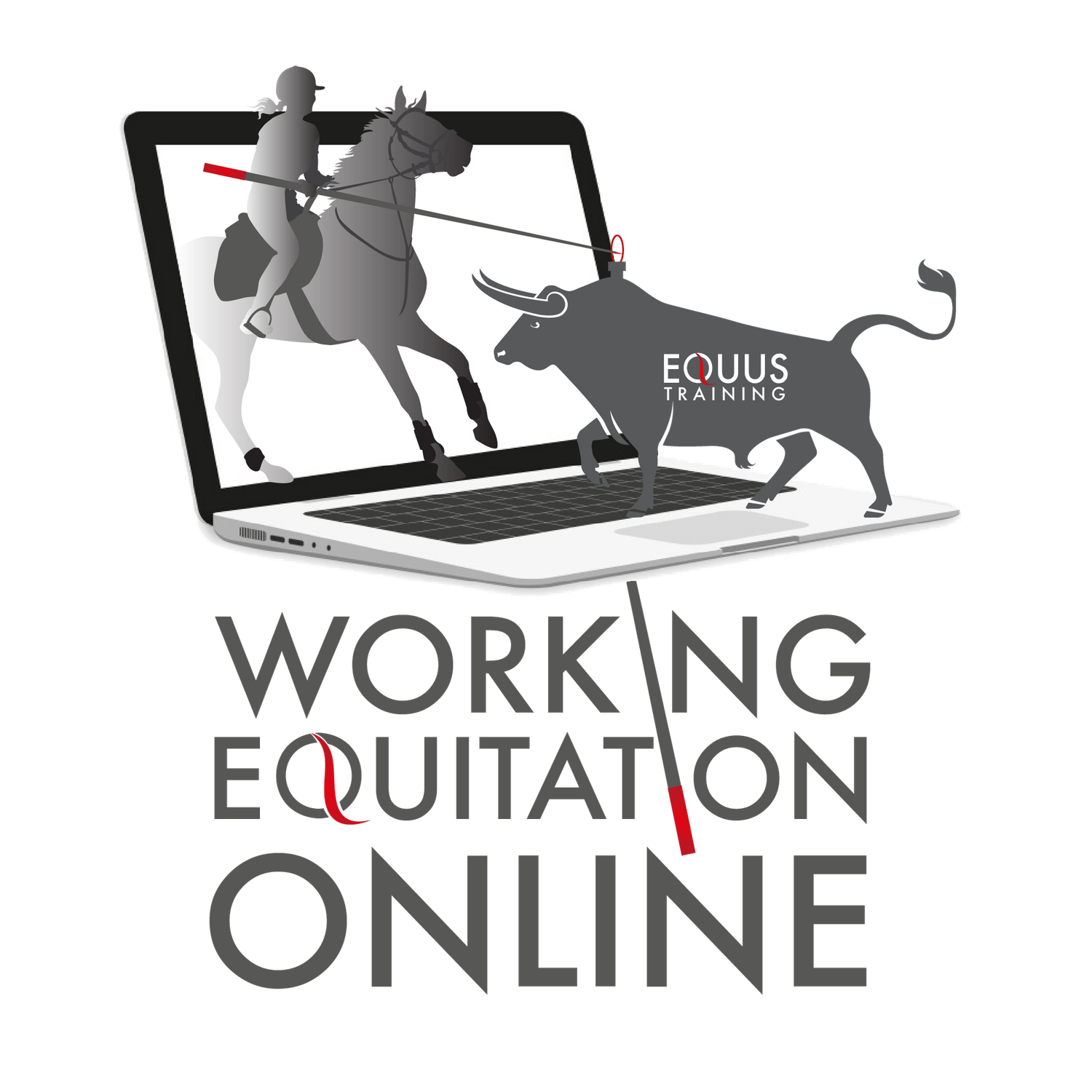 Online Working Equitation Entry