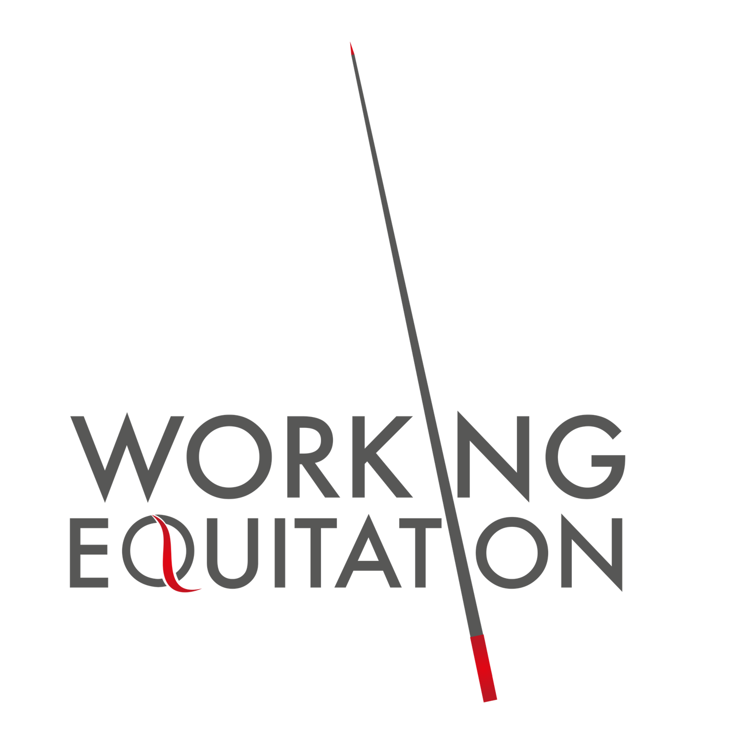 Working Equitation Clinic - 8 November 2025