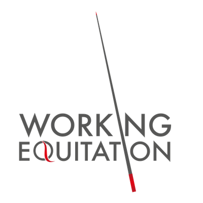 Working Equitation Clinic - 8 November 2025