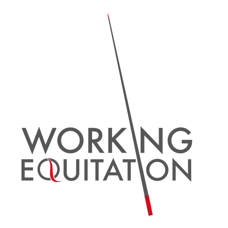 Working Equitation Clinic - 8 November 2025
