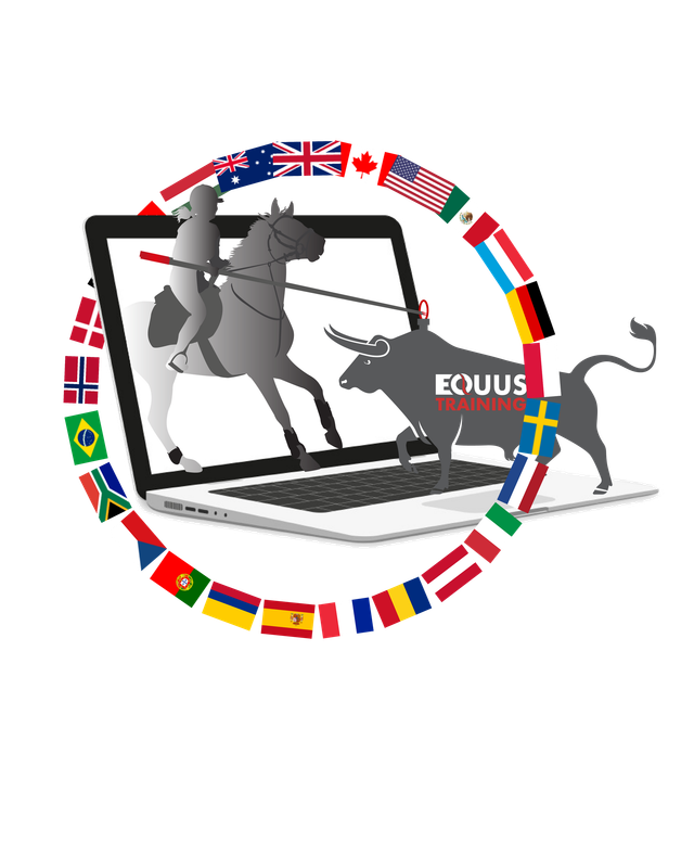 Working Equitation Obstacle Challenge Series