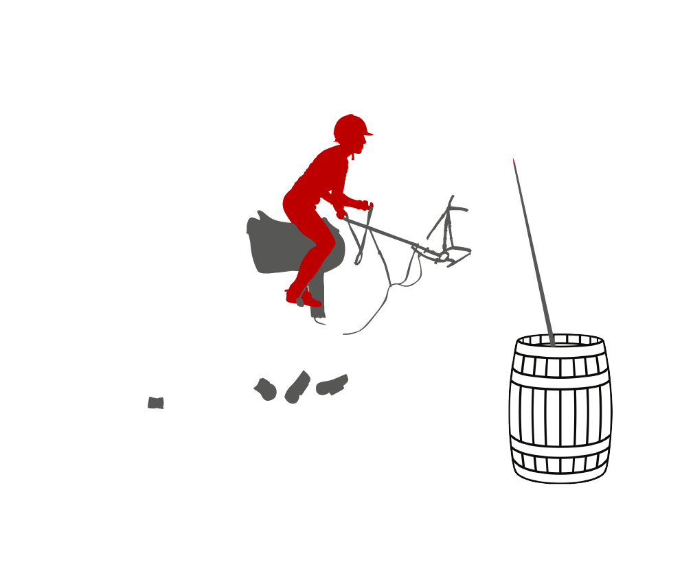 Indoor Working Equitation Training