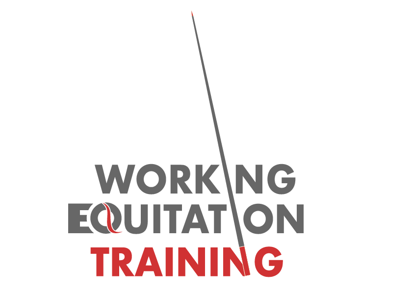Indoor Working Equitation Training Indoor Working Equitation Training
