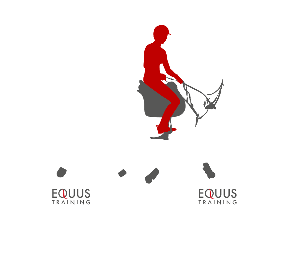 Working Equitation Camp - 6/7 June 2026