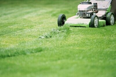 Lawn Care
