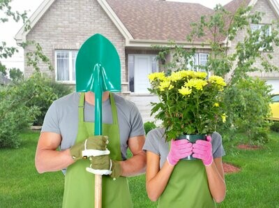 Landscaping