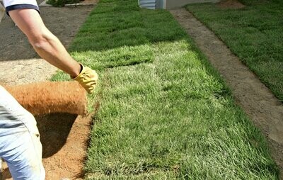 Sod Installation