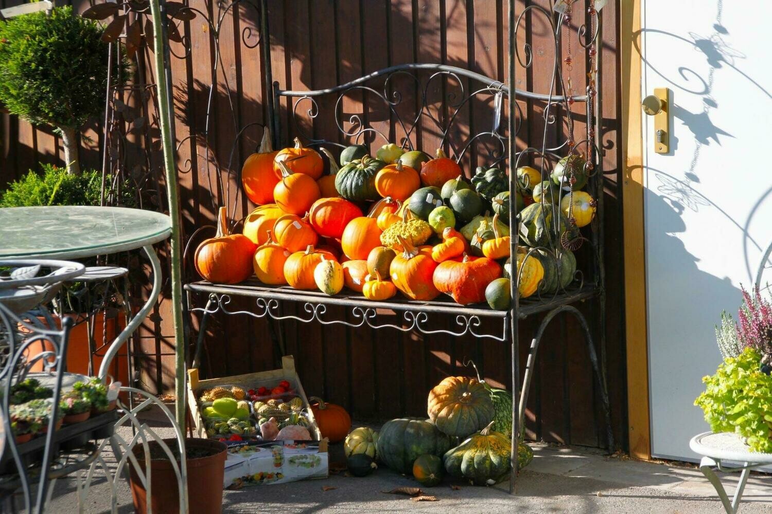 Vegetable Garden Installation Package 1