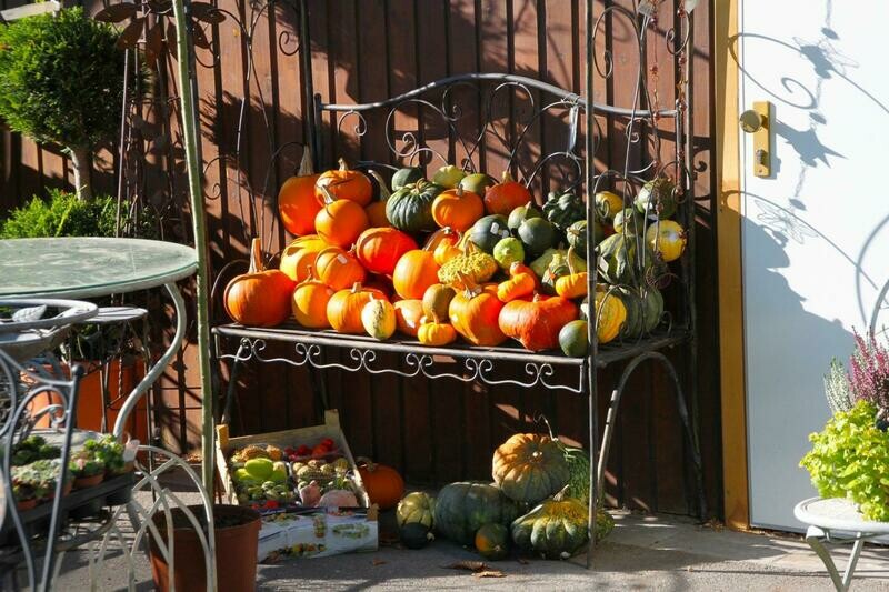 Vegetable Garden Installation Package 1