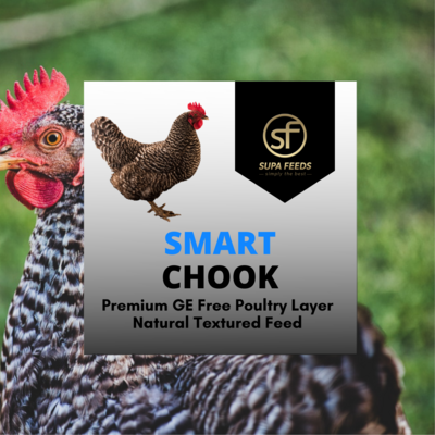 Smart Chook Sample