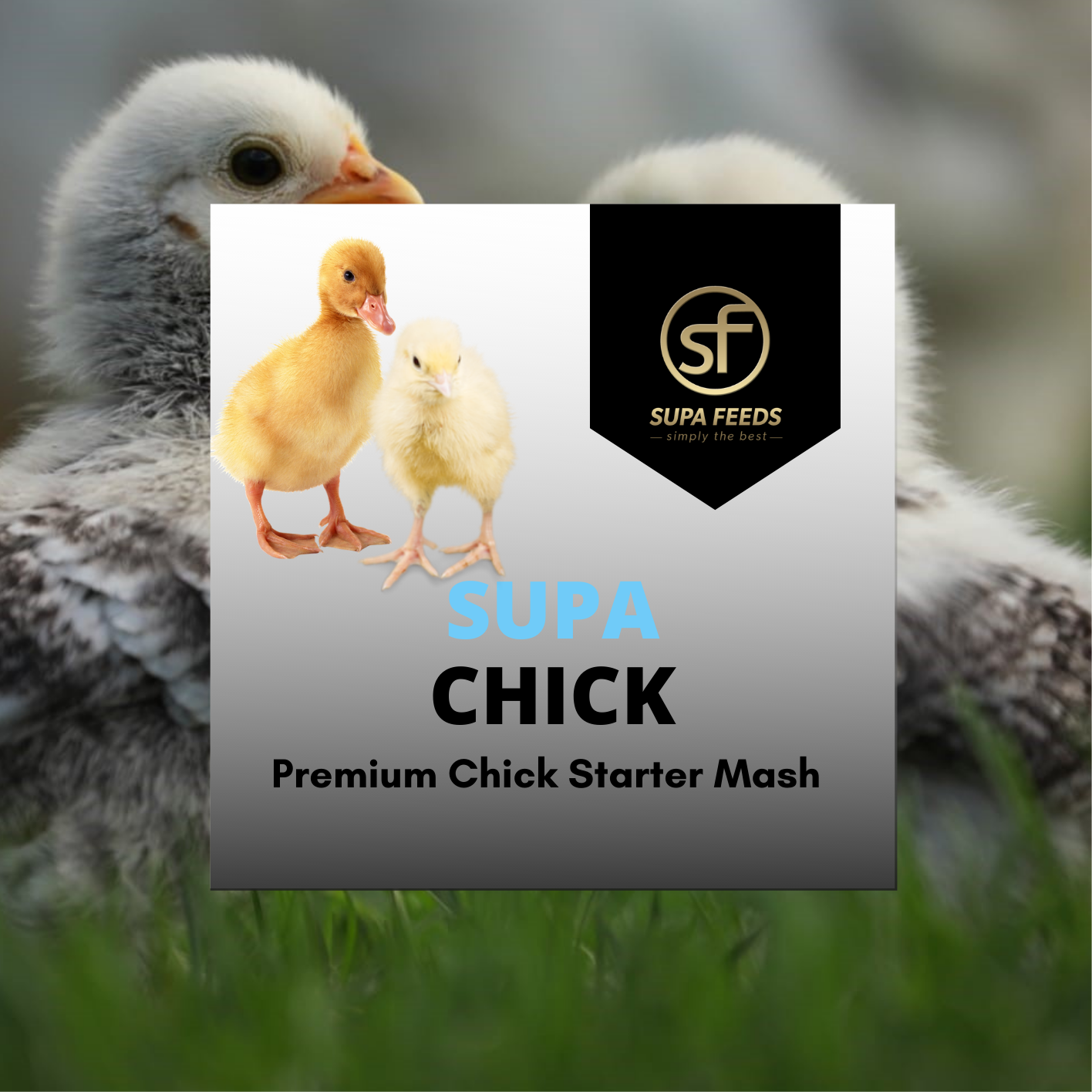 Supa Chick Sample